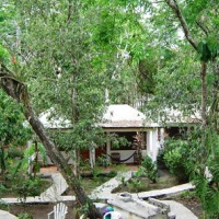 Отель Hotel Jaguar Inn Tikal в городе Флорес, Гватемала