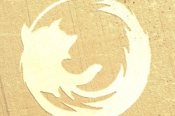 Логотип Firefox в чистом поле