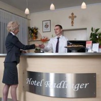 Отель Radlinger Hotel Himberg в городе Химберг, Австрия