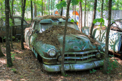 Крупнейшая в мире свалка старых автомобилей