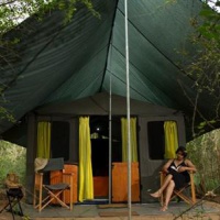 Отель Mahoora Tented Luxury Safari Camp - Wilpattu в городе Pahala Maragahawewa, Шри-Ланка