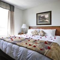 Отель Service Plus Inns & Suites Drayton Valley в городе Драйтон-Валли, Канада