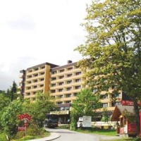 Отель Apartment Bendler в городе Фрайунг, Германия