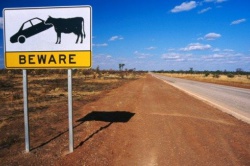 Нестандартные дорожные знаки в Австралии