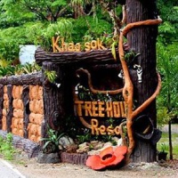 Отель Khao Sok Tree House Resort в городе Пханом, Таиланд