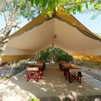 Отель WildTrails - Yala Tented Safari Camp Kataragama в городе Яла, Шри-Ланка