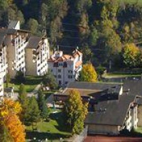 Отель Hotel Disentiserhof Disentis/Munster в городе Дизентис, Швейцария