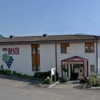 Отель Aesch Hotel в городе Вальхвиль, Швейцария