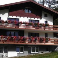 Отель Apartment Albatros в городе Саас-Грунд, Швейцария