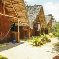 Отель Jambo Beach Bungalows в городе Пайе, Танзания