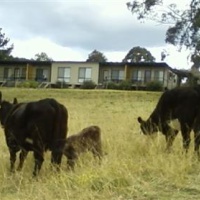 Отель Bumblebrook Farm Motel в городе Кандело, Австралия