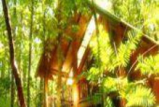 Отель Fur 'n' Feathers Rainforest Tree Houses в городе Тарзали, Австралия