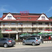 Отель Hotel Gabriela Maramures в городе Viseu de Sus, Румыния