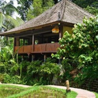 Отель Bali Eco Stay Rice Water Bungalows в городе Табанан, Индонезия