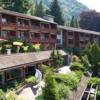 Отель Paradies Hotel Rotschuo в городе Герзау, Швейцария