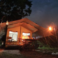 Отель Yala Safari Camping в городе Яла, Шри-Ланка