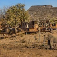 Отель Royal Madikwe Luxury Safari Lodge в городе Madikwe, Южная Африка