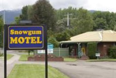 Отель Snowgum Motel в городе Тавонга-Саут, Австралия