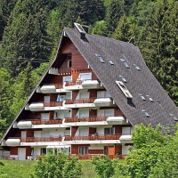 Отель Interhome - Anemone в городе Грийон, Швейцария