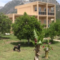 Отель Hotel Narcicegi в городе Адрасан, Турция
