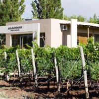 Отель Algodon Wine Estates & Champions Club в городе Сан-Рафаэль, Аргентина