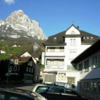 Отель Hirschen Backpackers Hotel Pub в городе Швиц, Швейцария