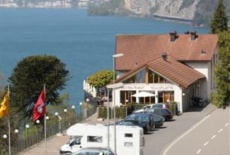 Отель Hotel Tellsplatte в городе Зизикон, Швейцария