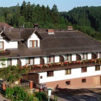 Отель Pension Angerhof Dorfstetten в городе Дорфштеттен, Австрия