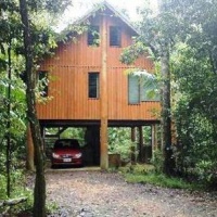 Отель The Canopy Rainforest Treehouses and Wildlife Sanctuary в городе Тарзали, Австралия
