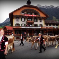 Отель Hotel Swiss Spirit в городе Флюли, Швейцария