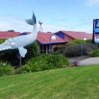 Отель Blue Whale Motor Inn & Apartments в городе Уоррнамбул, Австралия