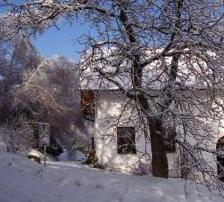 Bauernhof Biohof Vertacnik