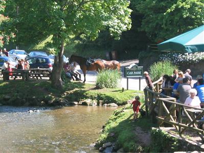 The Watermans Arms Inn Ashprington Totnes