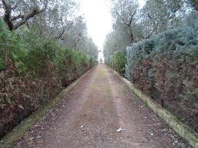 Puglia XVIII Century Country House with Trullo