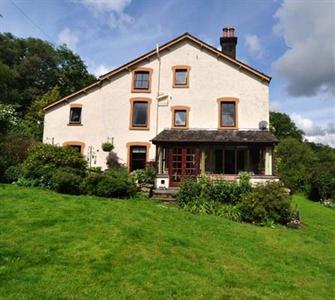 Forest How Guest House