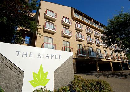 The Maple