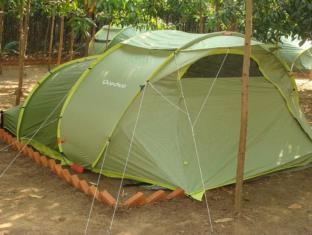 Dandeli Camps