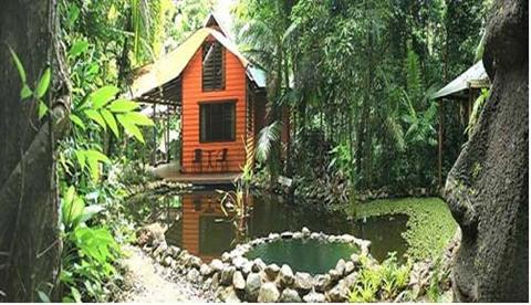 Rainforest Hideaway