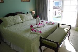 2 Br Apartment In Ocho Rios