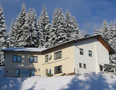 Ferienhaus Hollinger Apartment Afritz am See