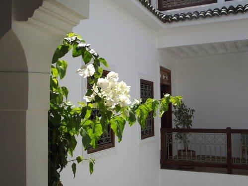 Riad Les Bougainvilliers