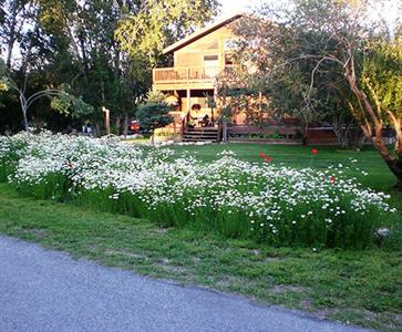 Buffalo Peaks B&B