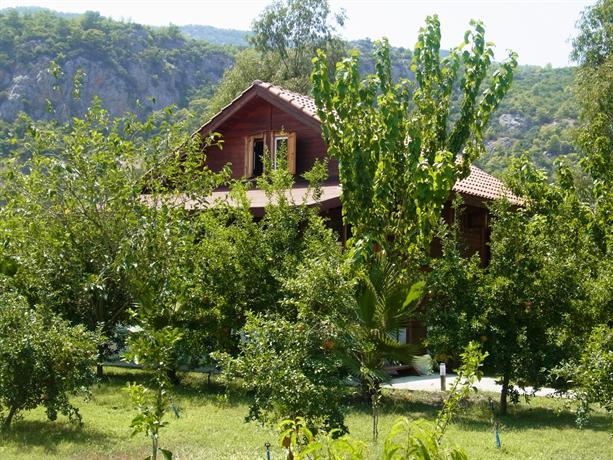 Villaiz