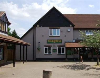 The Roebuck