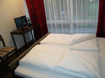 Budget Hotel Zwingenberg