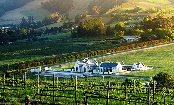 Zorgvliet Vineyard Lodge Stellenbosch