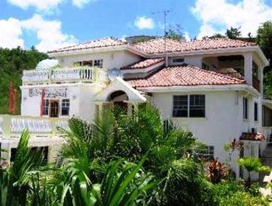 Palm Paradise Guest House And Apartment Saint James Barbados