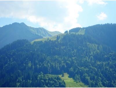 Bauernhaus auf der Halde - Hutte Ritter