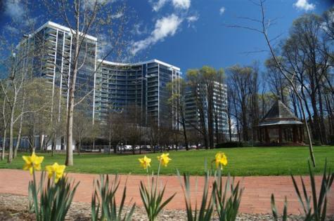 Canberra Wide Apartments Canberra