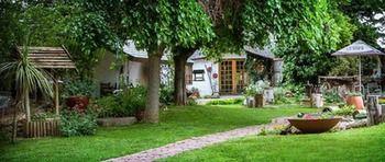 Morning Glory Cottages